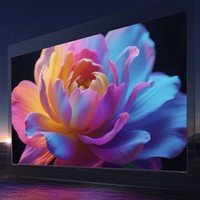 国家补贴、百亿补贴：海信 Hisense 100英寸Mini LED智能电视 4K 288Hz 100E5N Pro　7805.6元包邮（双重优惠）