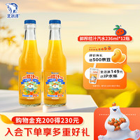 北冰洋 鲜榨桔汁汽水 老北京玻璃瓶果汁碳酸饮料 236ml*12瓶
