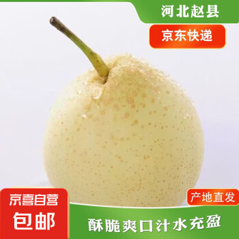 京喜加 赵州水晶鸭梨新鲜水果产地直发单果180g起 带箱4斤特惠装