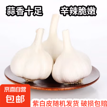 京喜加 自营 国产紫白皮大蒜 1斤 单果3.5-5cm
