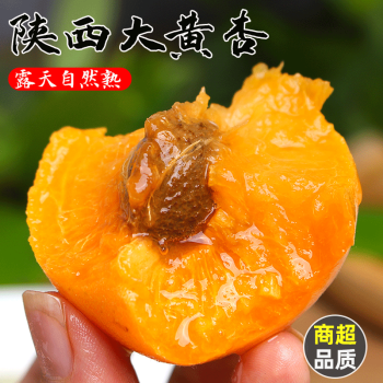 康田汇 头茬新鲜大黄杏4.5-5斤颗颗美味 源头现摘现直发