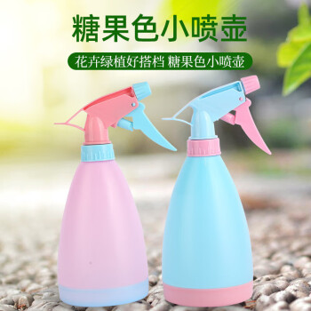 大号喷水壶 1个装