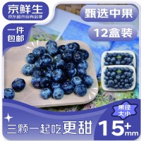 京鲜生 云南蓝莓 12盒15mm+装 125g/盒