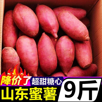 黄六爷山东糖心蜜薯9斤新鲜蔬菜农家自种小香薯烤番薯沙地板栗地瓜红薯 今天大降价【9斤中果】25-45只
