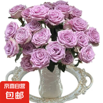 京喜 云南玫瑰基地 玫瑰花 8枝+2枝防损 颜色随机