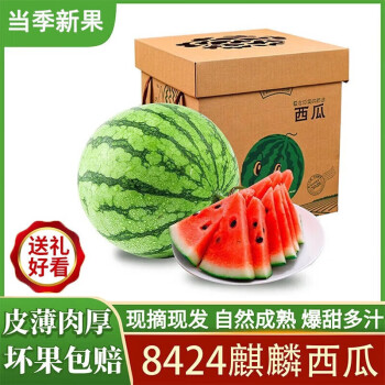 闽域寻鲜 云南8424麒麟西瓜 净重8.5斤（单果55-60mm）