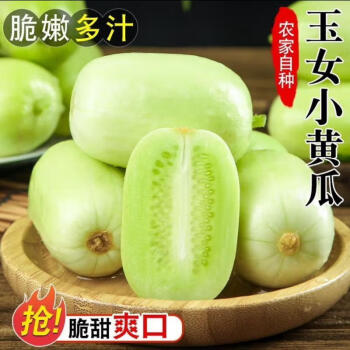 京喜 玉女水果黄瓜拇指小黄瓜新鲜蔬菜减肥早餐上超市品质生吃 玉女黄瓜新鲜脆嫩  2斤 带箱