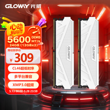 光威 24GB(12GBx2)套装 DDR5 5600 台式机内存条 天策系列 XMP&EXPO 适配黑神话悟空
