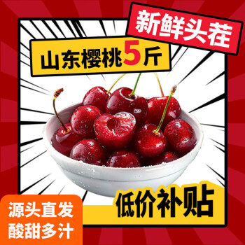 山东大樱桃 国产车厘子樱桃水果 新鲜水果时令生鲜 孕妇水果 2000g(净重)  带箱5斤