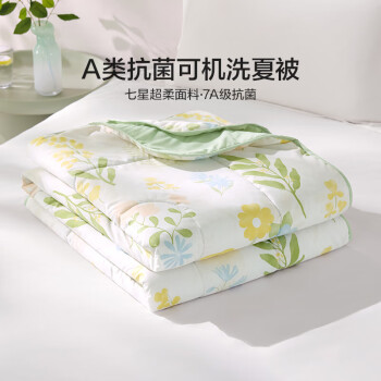 LOVO 罗莱生活LOVO抗菌可机洗夏凉被 沐夏200*230cm