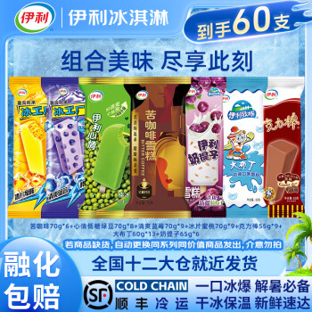 伊利 冰淇淋家庭超值组合装 60支（3905g）