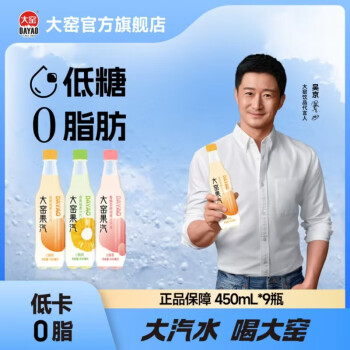 大窑 果汁汽水 凤梨味 450mL*9瓶