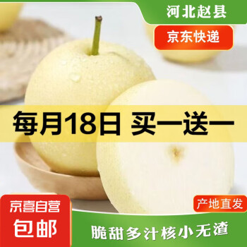 京喜加 赵州皇冠梨河北皇冠梨新鲜水果产地直发脆甜多汁 带箱4斤 单果160g+
