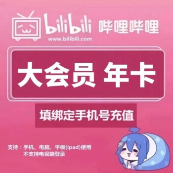 哔哩哔哩 bilibili 大会员年卡12个月