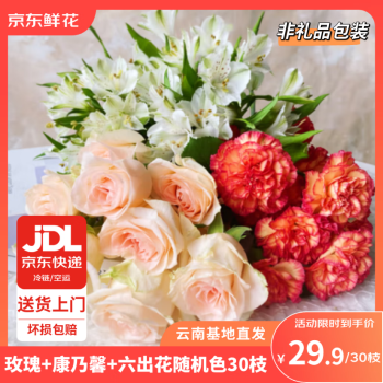京东鲜花 玫瑰10支+康乃馨10支+六初10支 共30枝 鲜切花源头直发