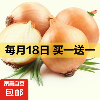 新鲜洋葱水果黄洋葱超市即食大个葱头 黄洋葱 500g