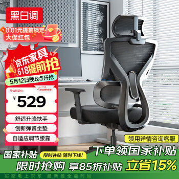 黑白调 P5双背款 人体工学椅电脑椅子办公椅可躺学习椅家用电竞椅标准