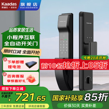 凯迪仕 智能锁 Q6W