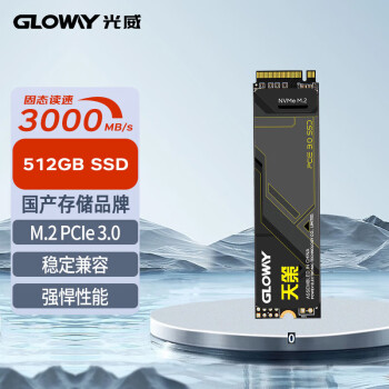 光威 512GB SSD固态硬盘 M.2接口(NVMe协议) PCIe 3.0x4 天策系列